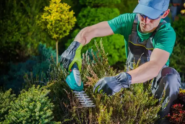 landscaping services De Witt